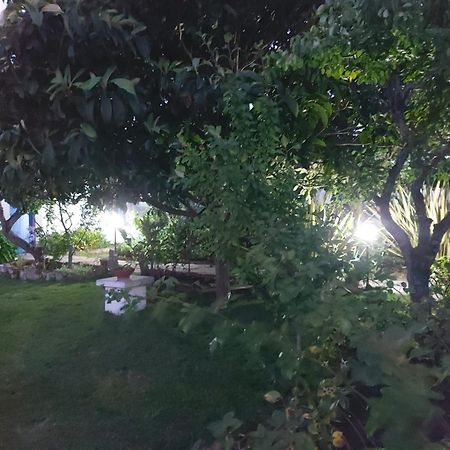 Vila Casa Do Sobral 오비도스 외부 사진