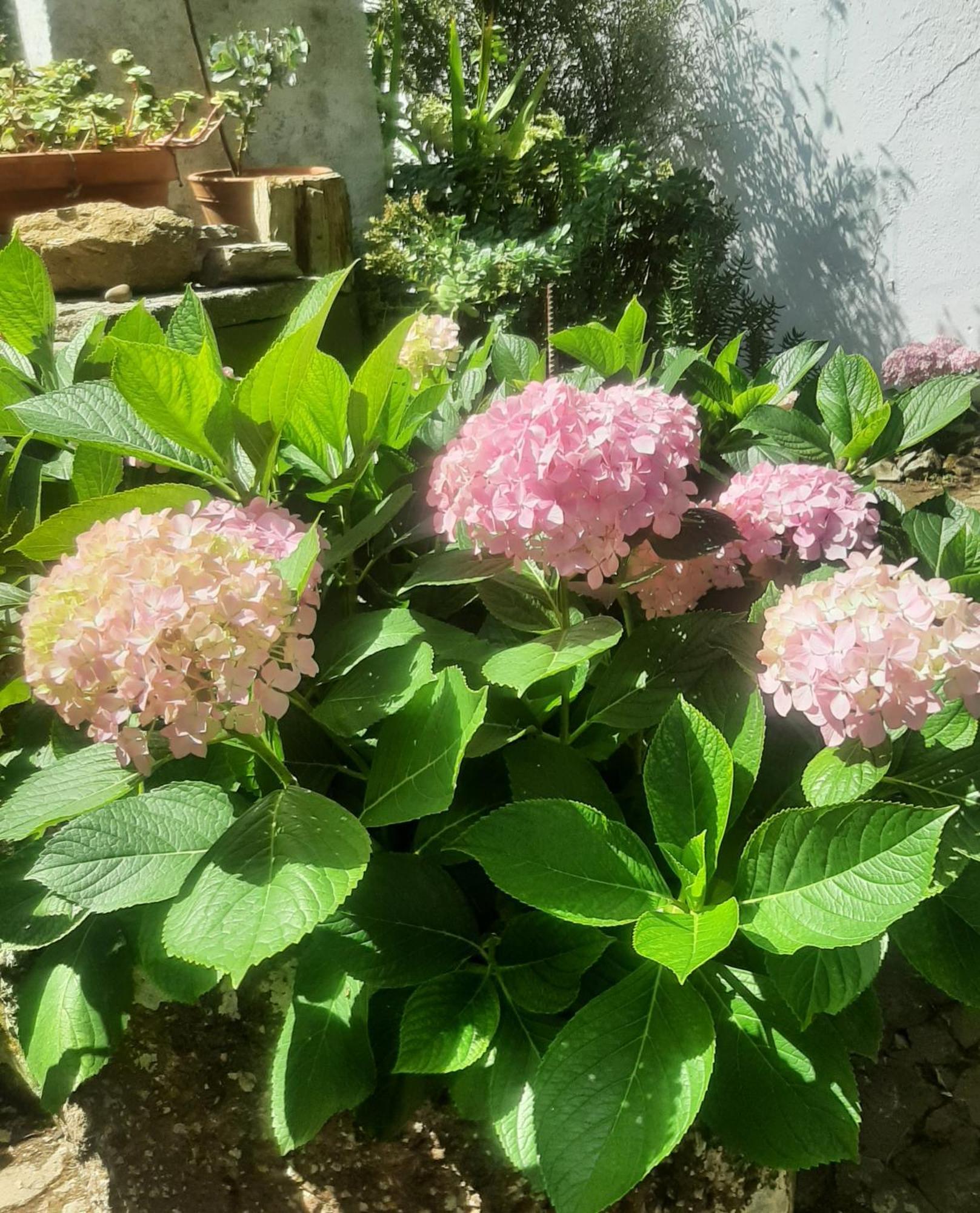Vila Casa Do Sobral 오비도스 외부 사진