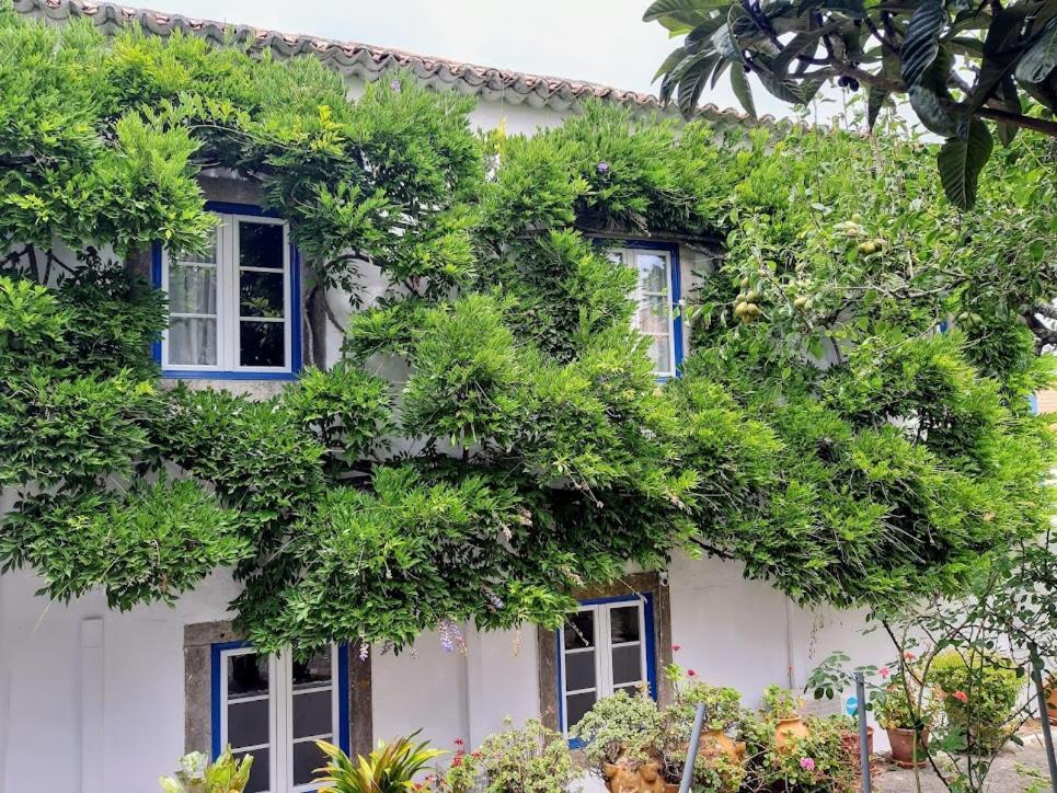 Vila Casa Do Sobral 오비도스 외부 사진