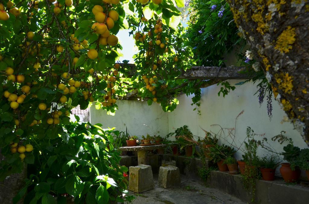 Vila Casa Do Sobral 오비도스 객실 사진