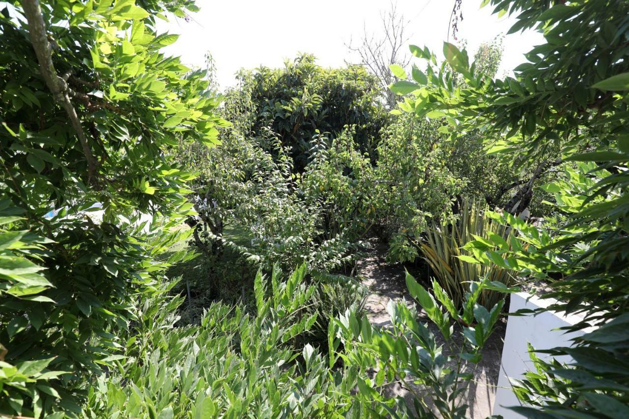 Vila Casa Do Sobral 오비도스 외부 사진